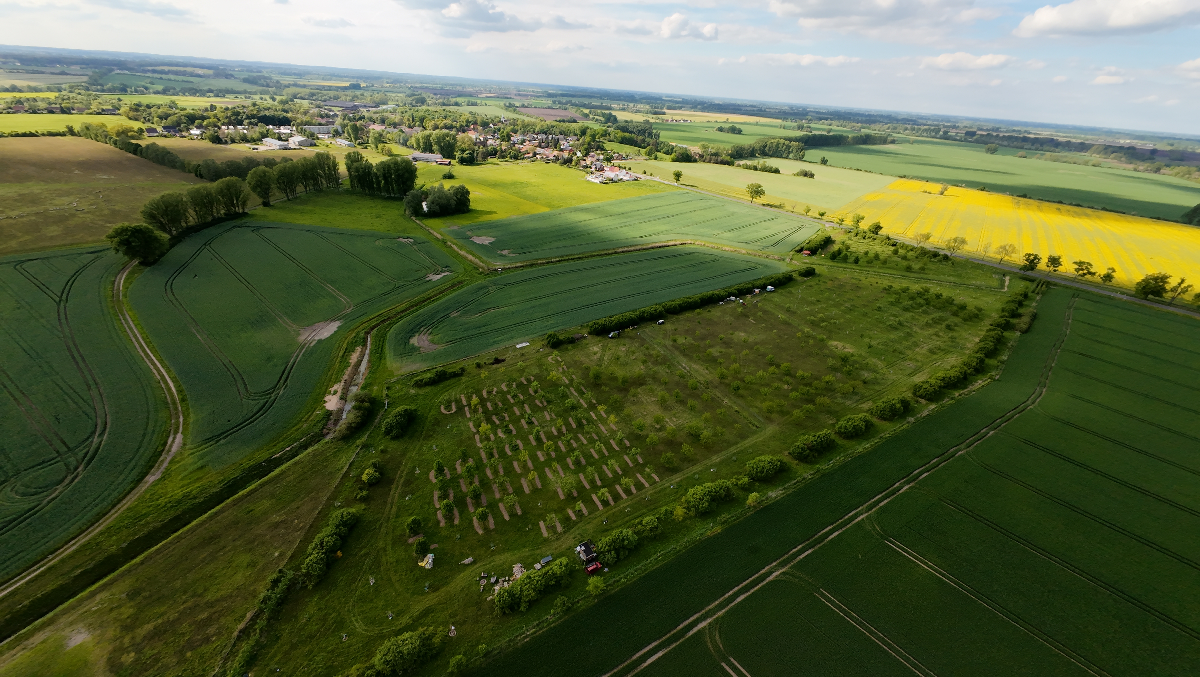 Gemeinsamer Erwerb der Obstwiese im Havelland, 2020
